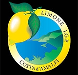 The IGP Lemon of the Amalfi Coast